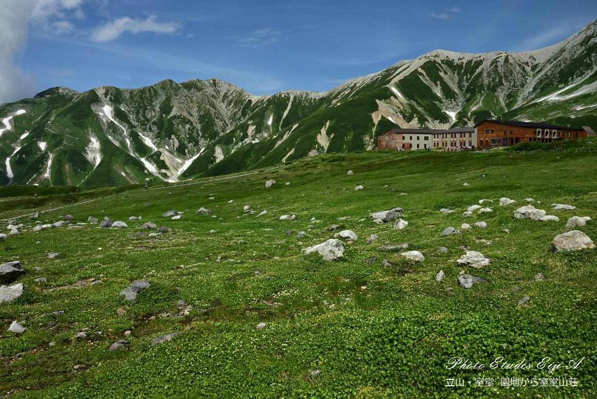 e0365355_20563337.jpg