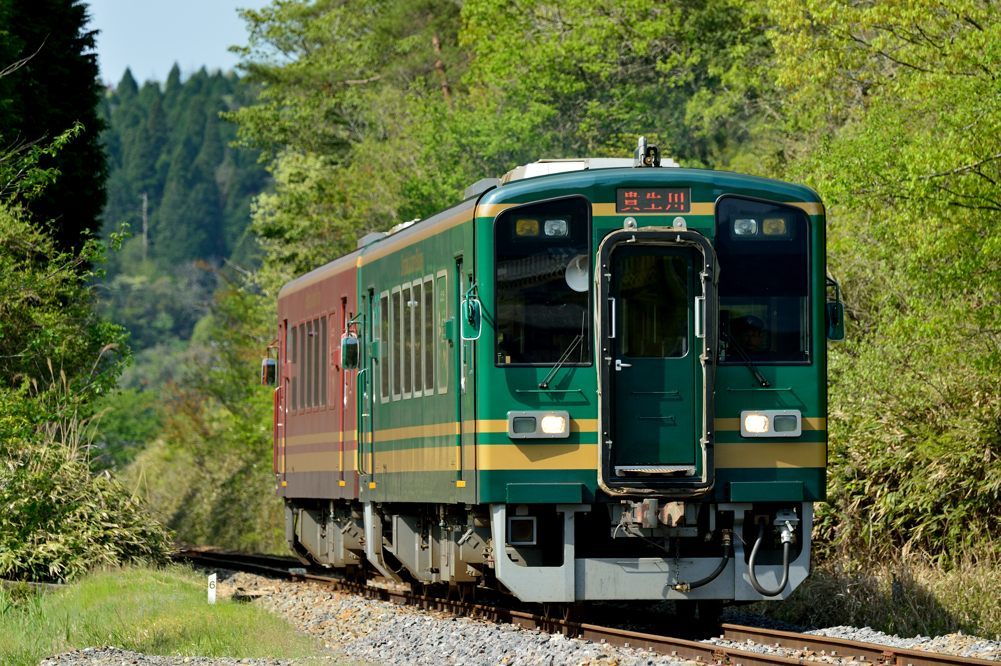 信楽高原鐵道 : HIROのフォトアルバム