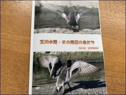 b0300759_09260298.jpeg