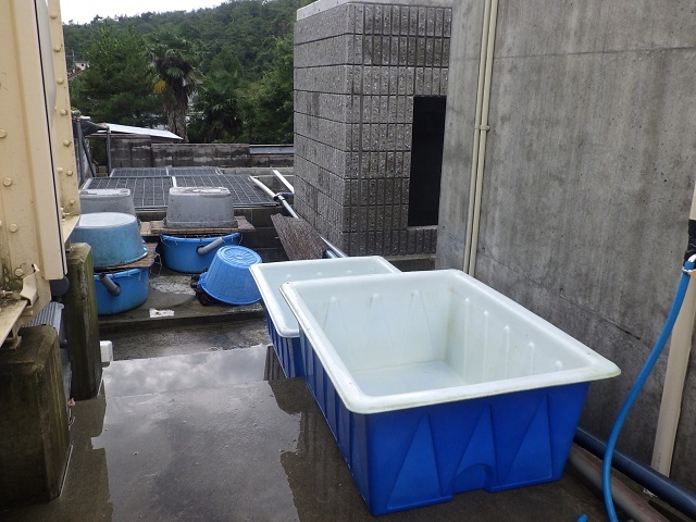 c0105569_00404654.jpg