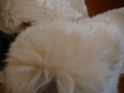 b0125570_10502953.jpg