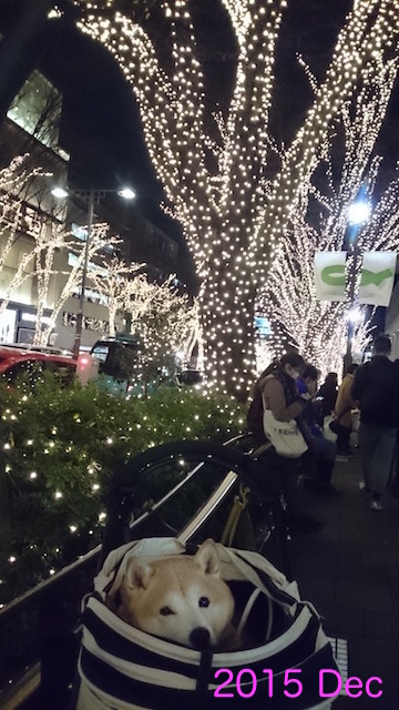b0274270_13365158.jpg