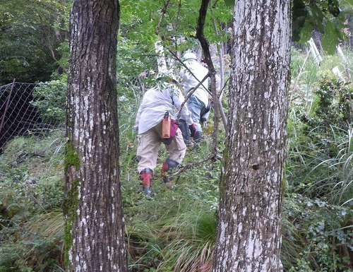 マダニと山ヒルに気をつけながら　・・・_b0102572_10100892.jpg