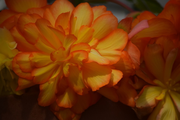 b0242873_12224110.jpg