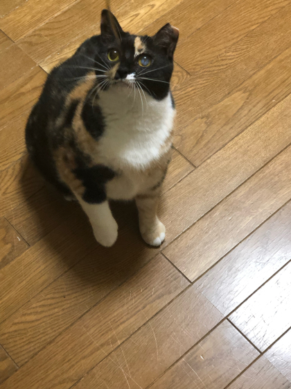 割り込み_e0355177_12505787.jpg