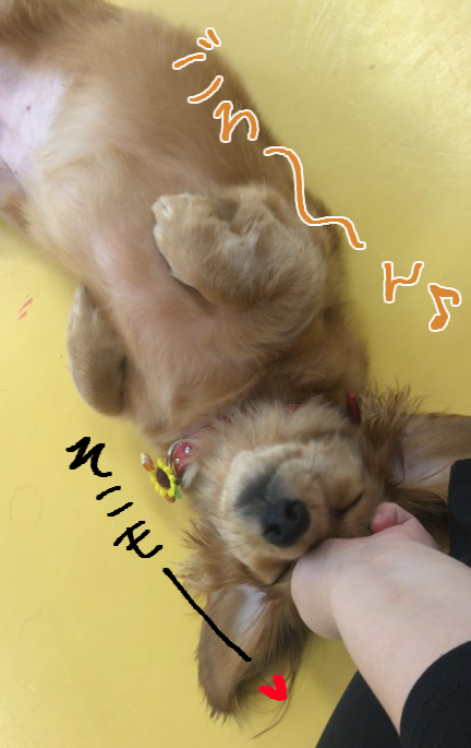 癒し♡♡_f0357682_22403594.jpg