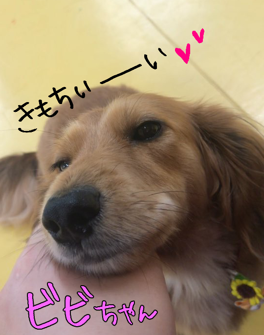 癒し♡♡_f0357682_22403916.jpg
