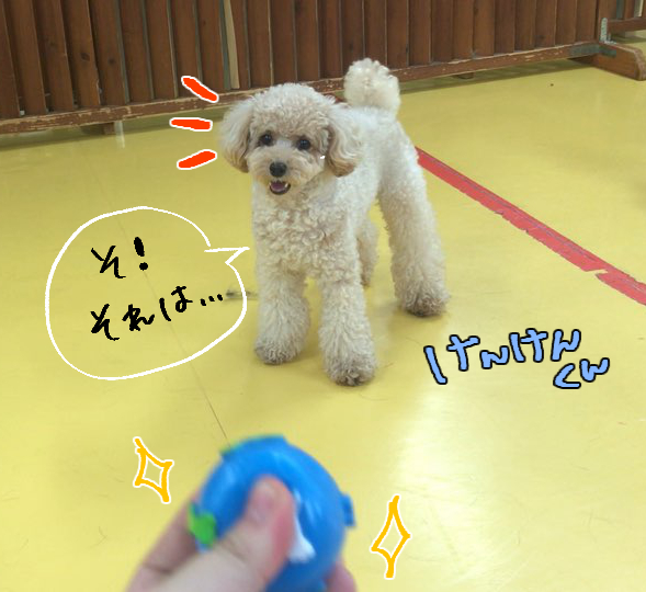 癒し♡♡_f0357682_22404737.jpg