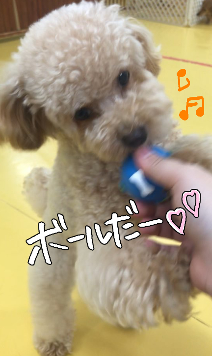 癒し♡♡_f0357682_22405413.jpg