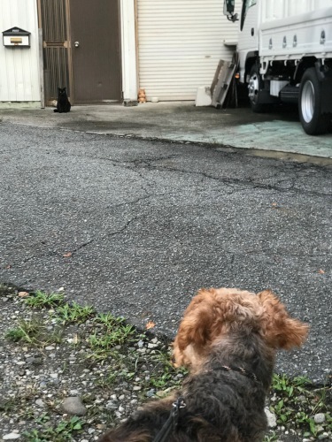 a0216583_23525361.jpeg