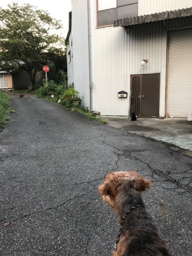 a0216583_23525918.jpeg