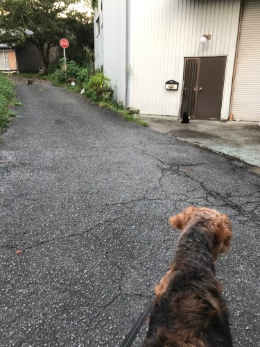 a0216583_23530369.jpeg