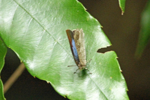 d0353091_20123449.jpg