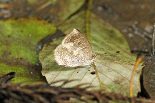 d0353091_20145686.jpg