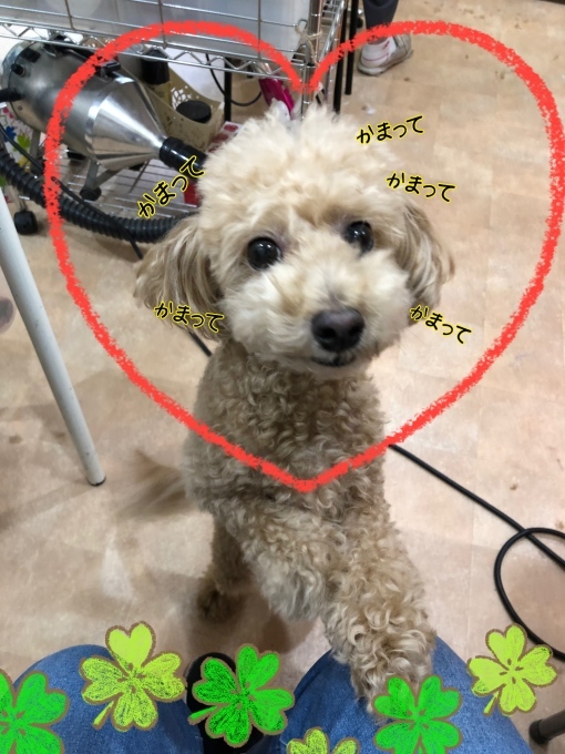 d0269898_12300149.jpeg