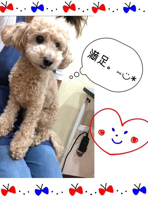 d0269898_12321793.jpeg