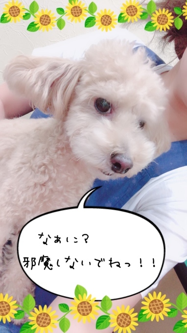 d0269898_12331626.jpeg