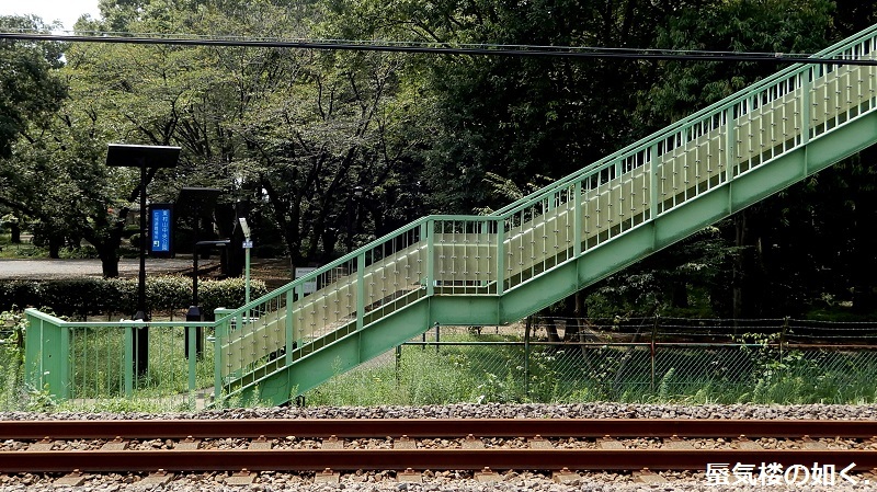 e0304702_07163967.jpg