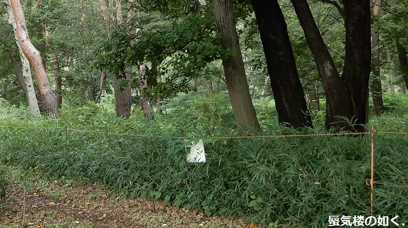 e0304702_16423989.jpg
