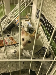 支援物資をありがとうございました!!_f0242002_13032936.jpg