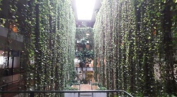 c0133503_07342562.jpg