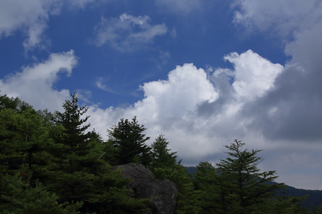 a0357206_23033320.jpg