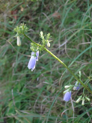 c0279611_13550729.jpg