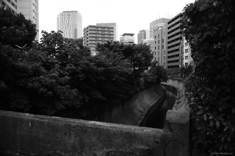 d0339617_18555360.jpg