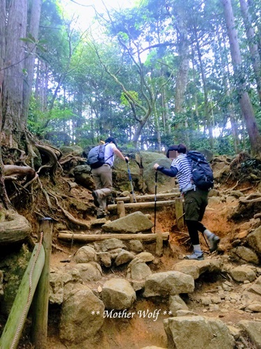 久々の登山じゃ♪_f0289824_16240757.jpg