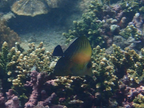 d0164831_15544189.jpg