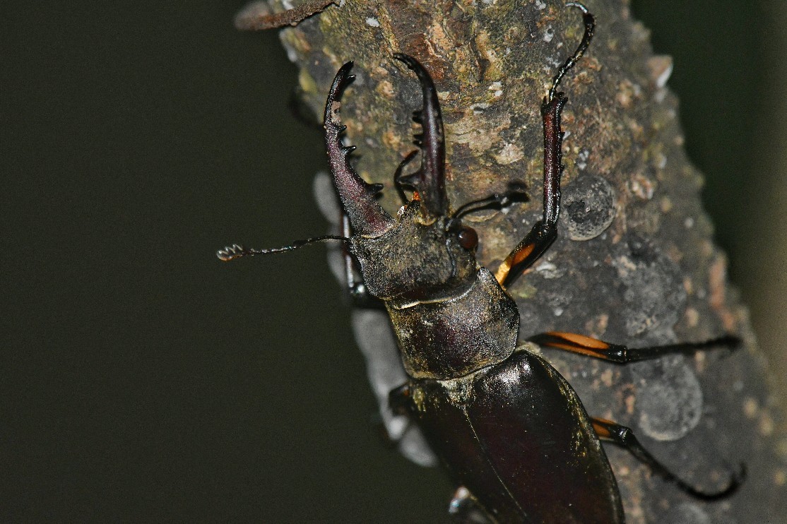 f0340732_21032753.jpg