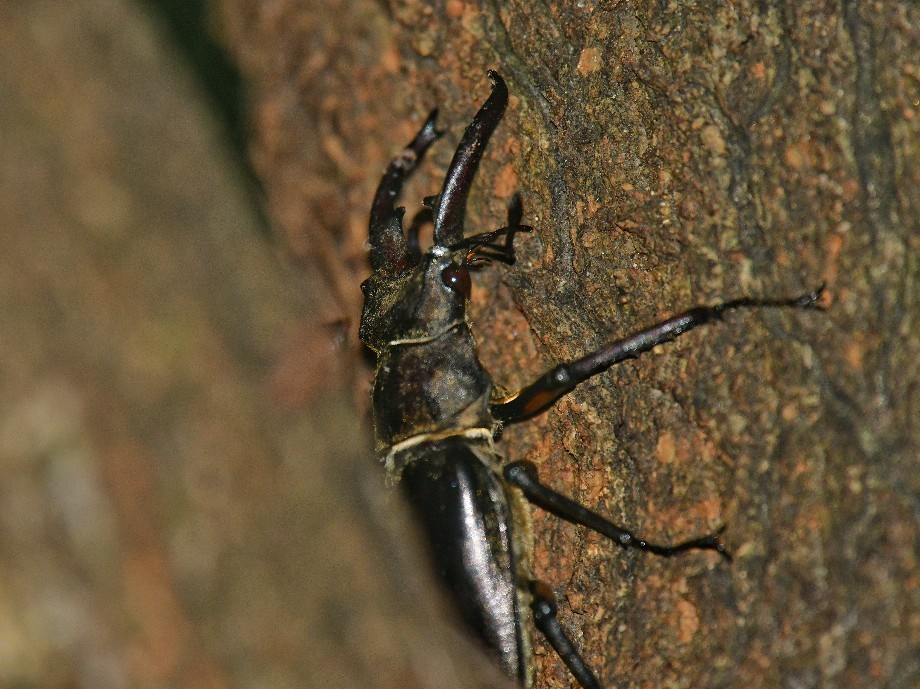 f0340732_21032779.jpg