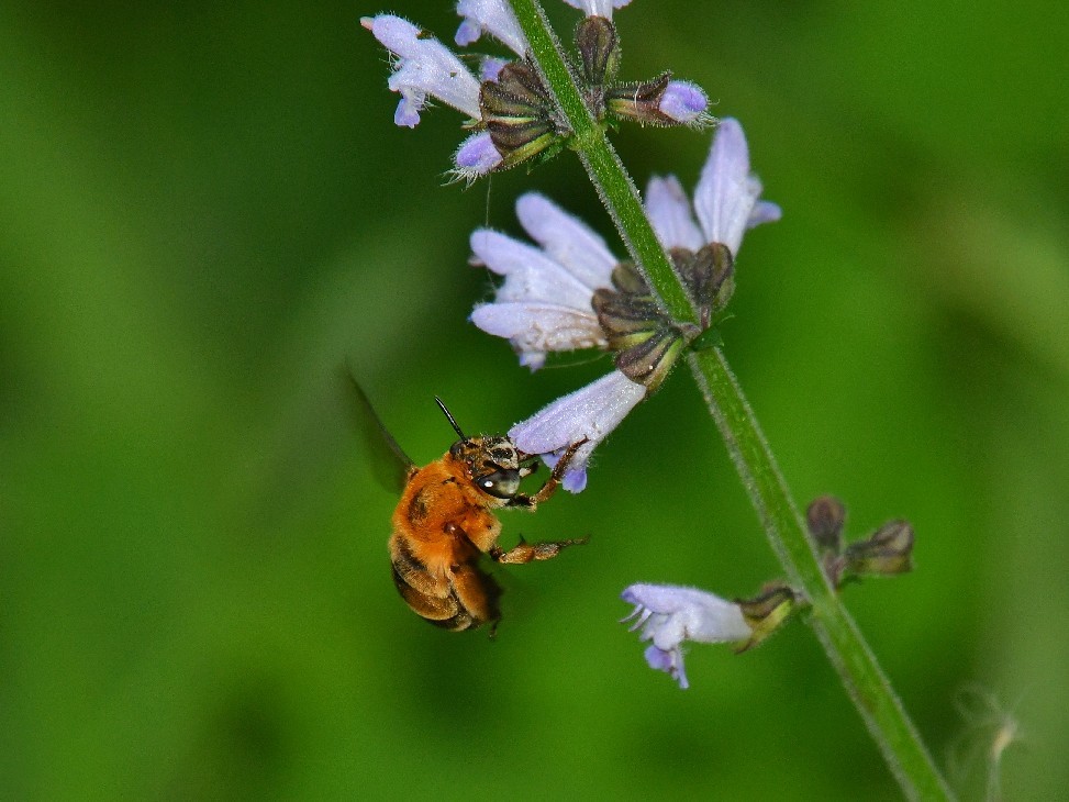 f0340732_21035708.jpg
