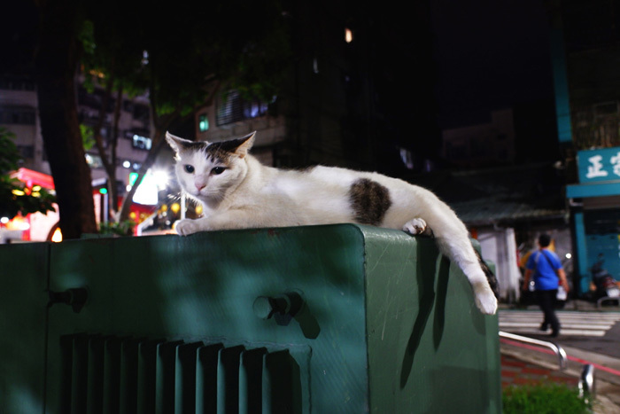 夜の散歩、徘徊?〜台北3_b0175635_22274310.jpg