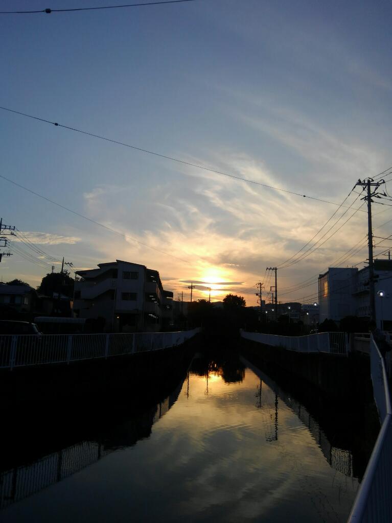 画像情報