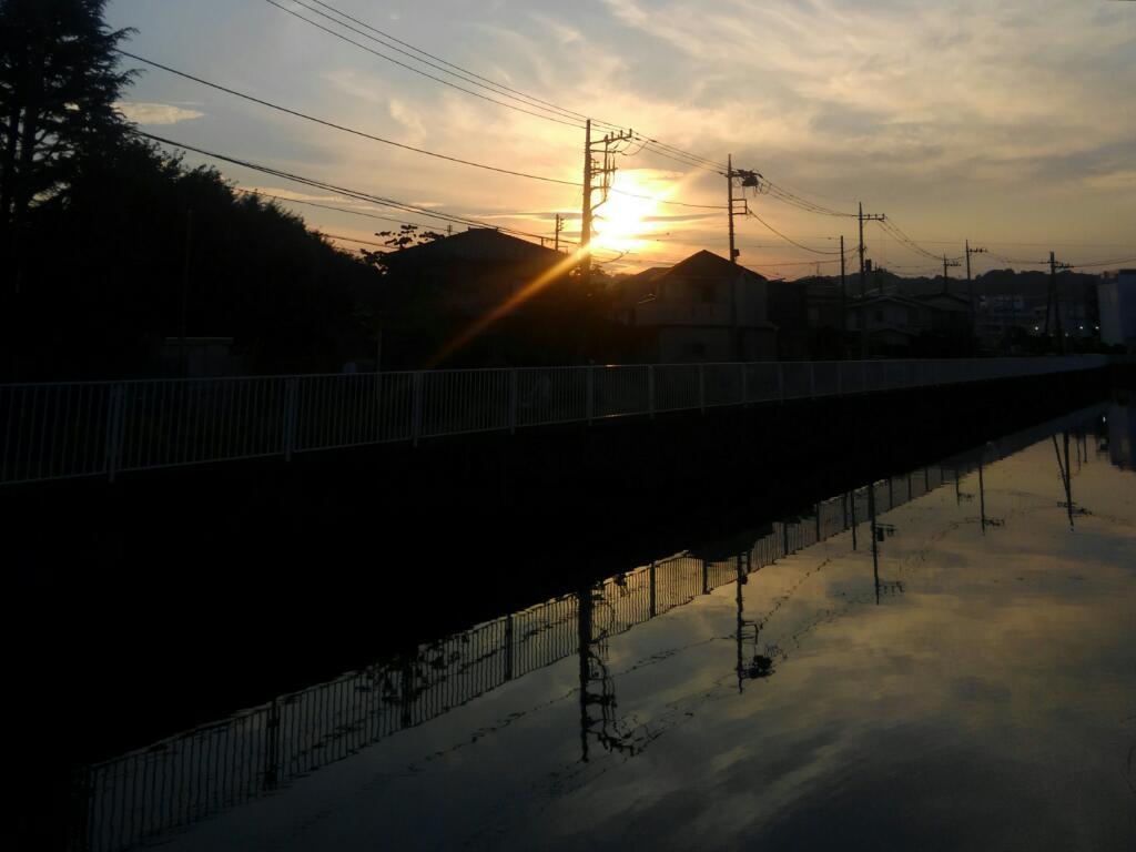 画像情報