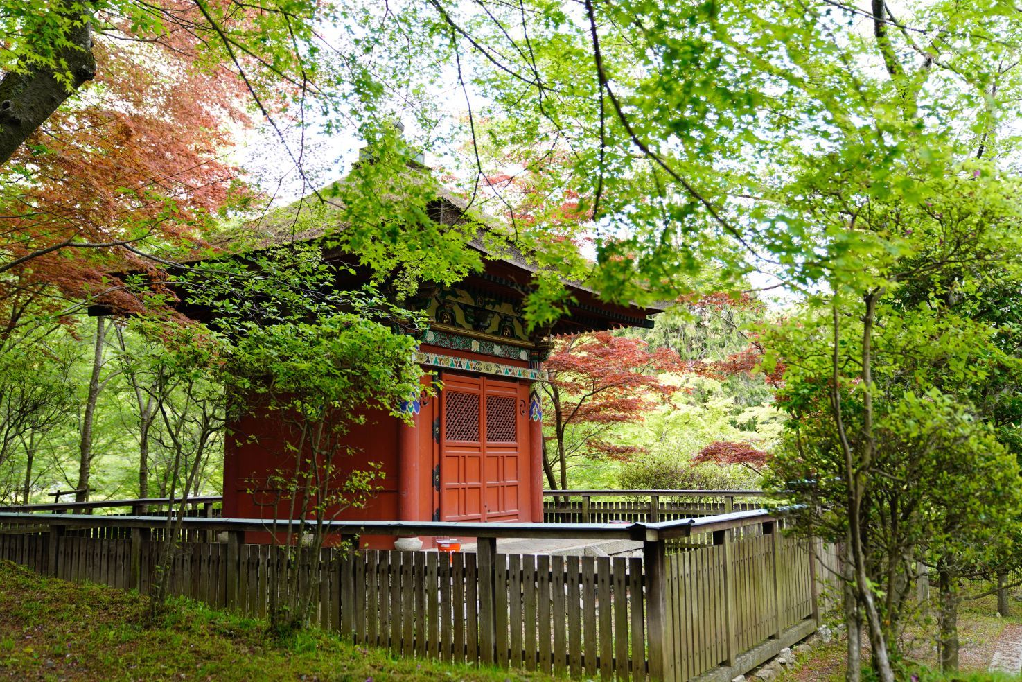 【国宝・重要文化財】　園城寺（三井寺）　建物の説明、訪問記編_b0212342_13555384.jpg