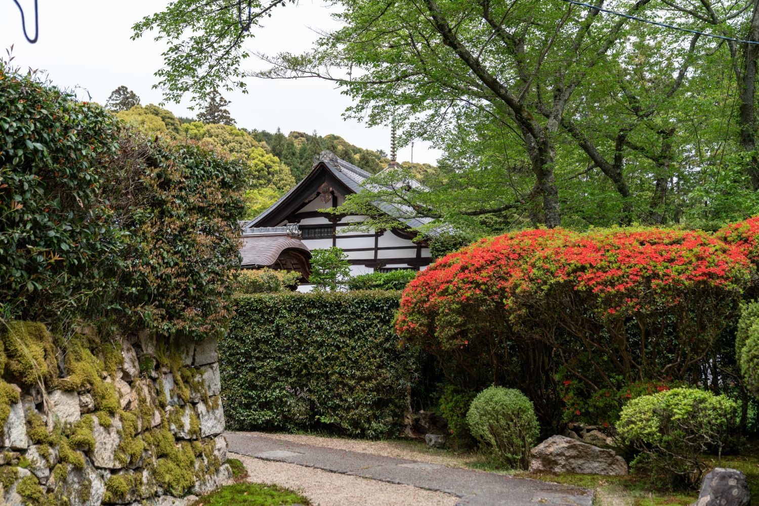 【国宝・重要文化財】　園城寺（三井寺）　建物の説明、訪問記編_b0212342_13594856.jpg