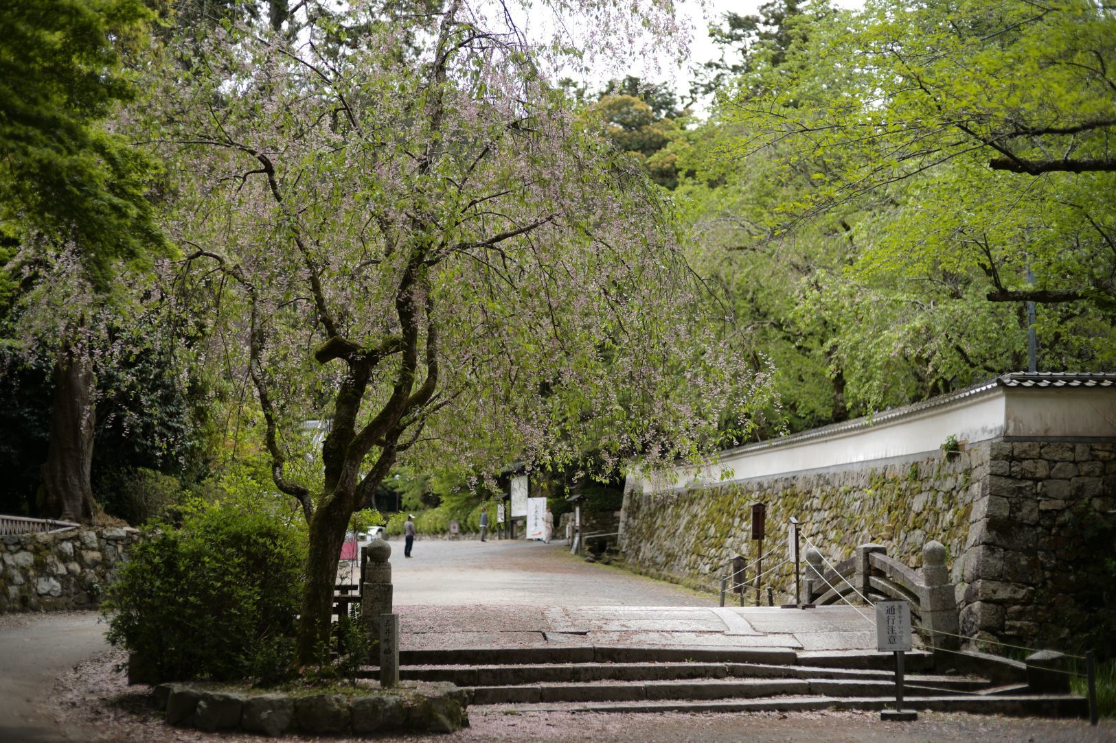 【国宝・重要文化財】　園城寺（三井寺）　建物の説明、訪問記編_b0212342_14331629.jpg