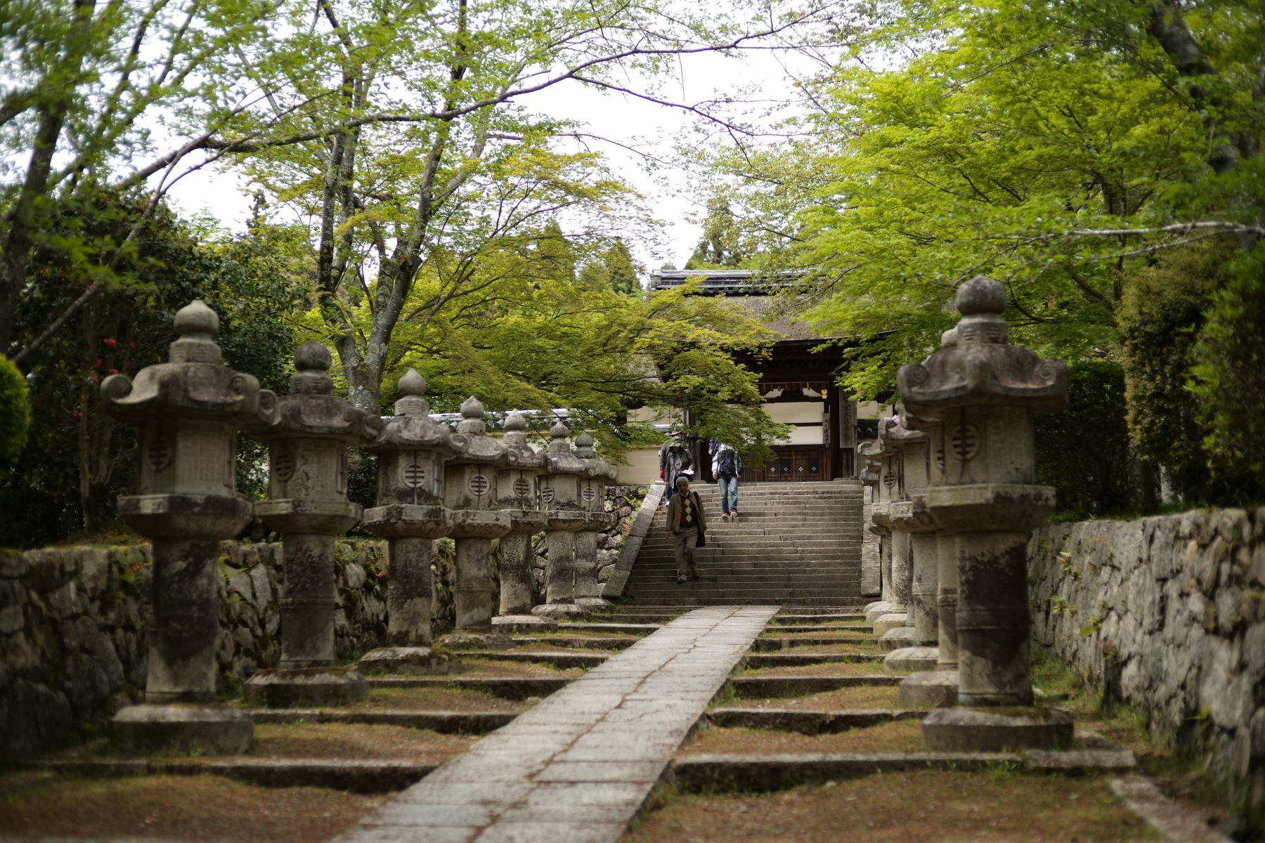 【国宝・重要文化財】　園城寺（三井寺）　建物の説明、訪問記編_b0212342_14334333.jpg