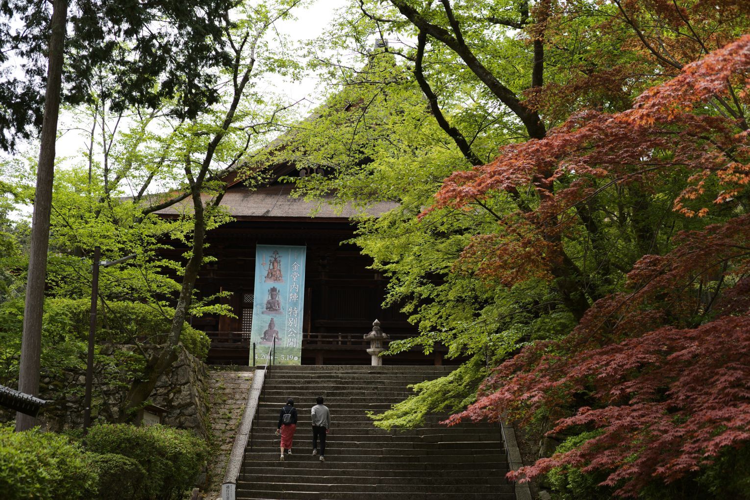 【国宝・重要文化財】　園城寺（三井寺）　建物の説明、訪問記編_b0212342_14350291.jpg