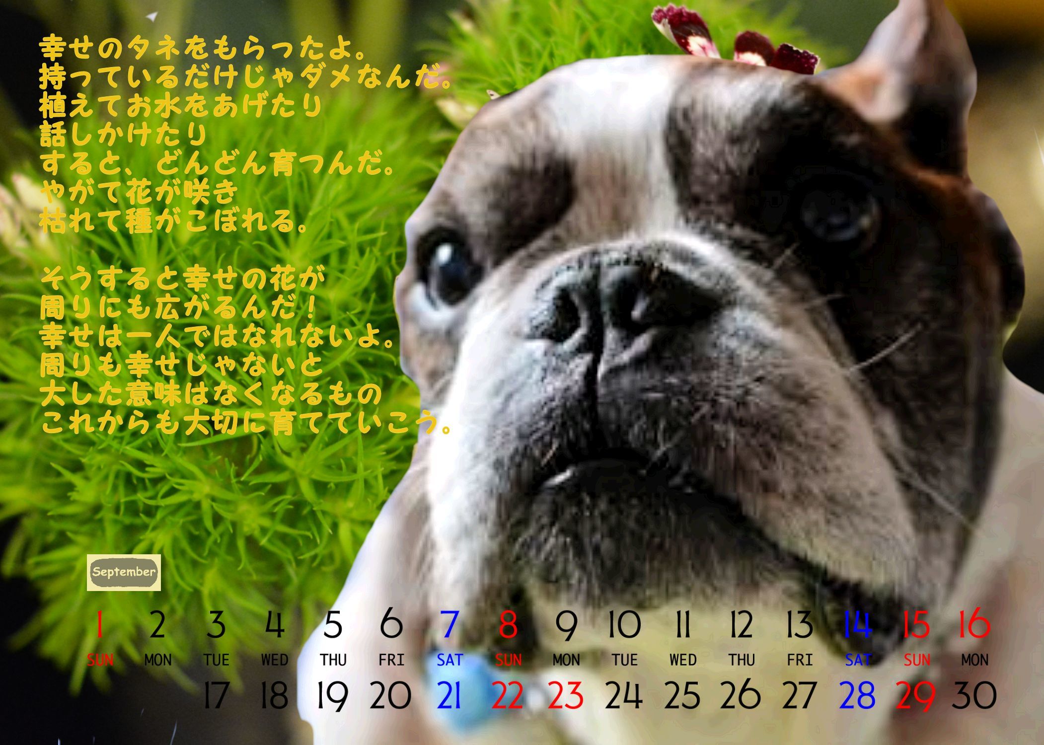 スマホに勝手に浮かび上がる滝、どこかわかる人いませんか?_b0307951_22065294.jpg
