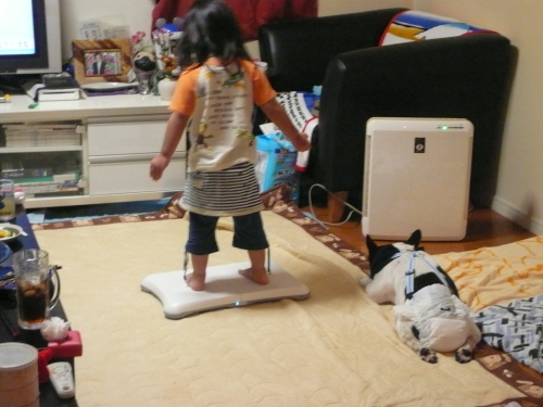 スマホに勝手に浮かび上がる滝、どこかわかる人いませんか?_b0307951_22341717.jpg