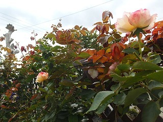 e0004756_20175735.jpg