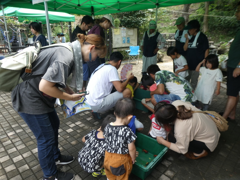 「カニカニウオッチング」 in 「第7回せんなん里海さくらフエス」_c0108460_19593478.jpg