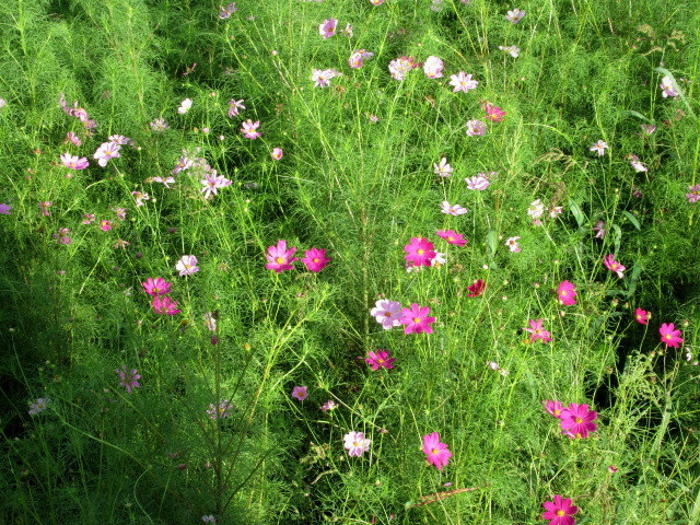 f0236260_00301437.jpg