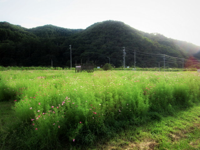 f0236260_00335173.jpg