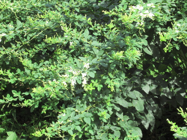 f0236260_00355370.jpg
