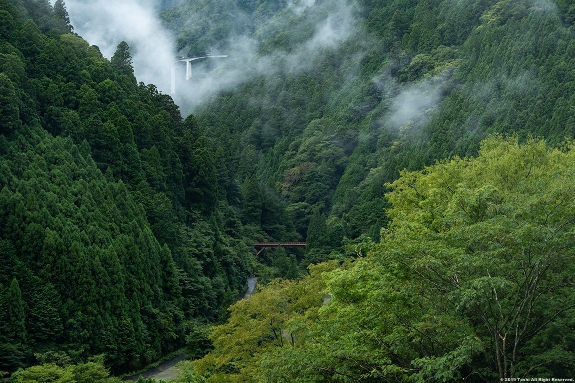 川上村と上北山村_c0350572_22535376.jpg