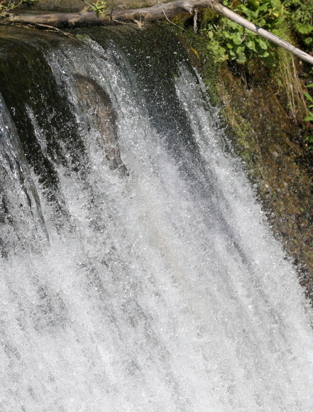d0262476_16252274.jpg